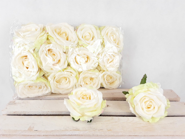 2023-09-27 13.42.19-w1500-h1500