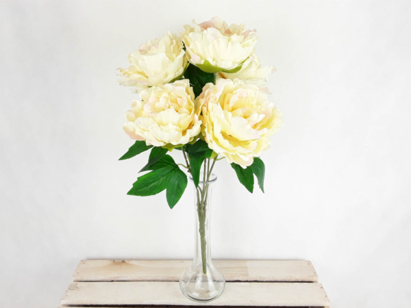 2026-02-24 10.51.36-w1500-h1500