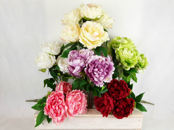 2026-02-24 10.54.06-w1500-h1500