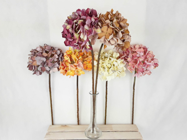 2026-04-29 10.57.50-w1500-h1500