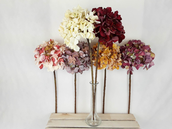 2026-04-29 11.07.39-w1500-h1500