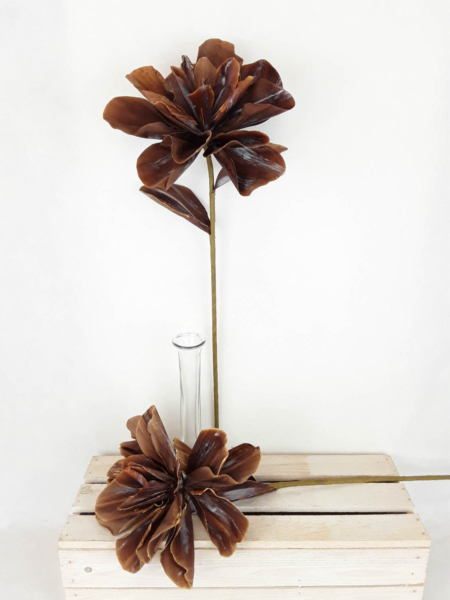 2026-04-29 11.19.00-w1500-h1500