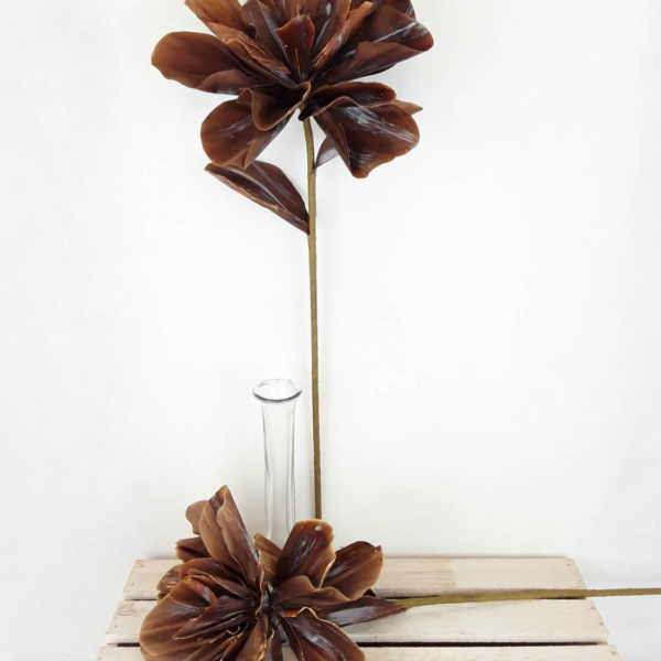 2026-04-29 11.19.00-w1500-h1500