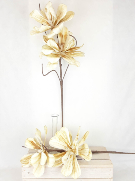 2026-04-29 11.23.17-w1500-h1500