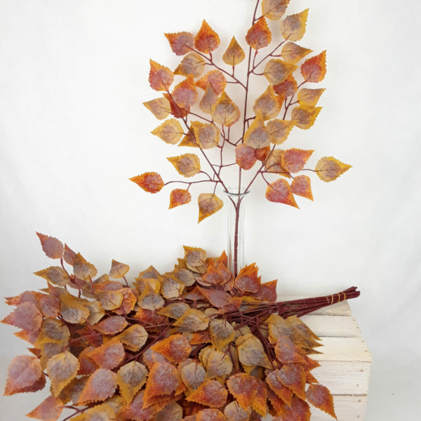 2026-10-06 13.21.30-w1500-h1500